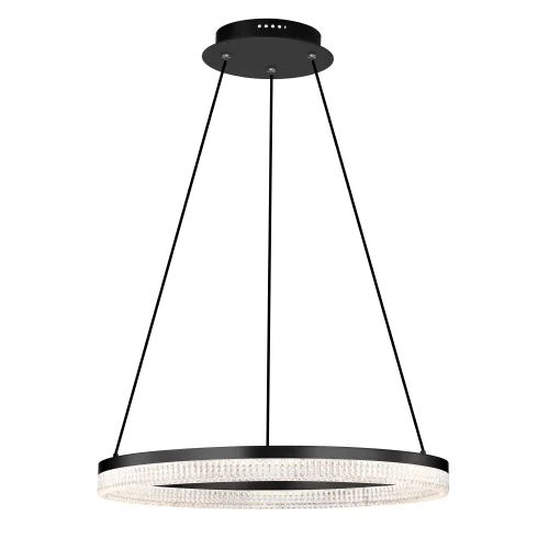 Светильник подвесной LED Rotonda 736187 Lightstar прозрачный 1 лампа, основание чёрное в стиле современный кольца