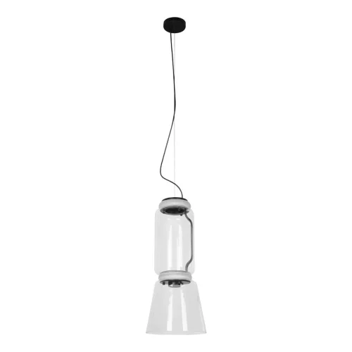 Светильник подвесной LED Noctambule 10193/S LOFT IT прозрачный 2 лампы, основание чёрное в стиле современный  фото 3
