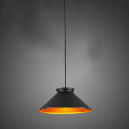 Светильник подвесной Brabbo V1430-1P Moderli чёрный 1 лампа, основание чёрное в стиле скандинавский  фото 3