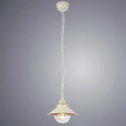 Светильник подвесной лофт Grazioso A4577SP-1WG Arte Lamp белый прозрачный 1 лампа, основание белое золотое в стиле лофт  фото 2