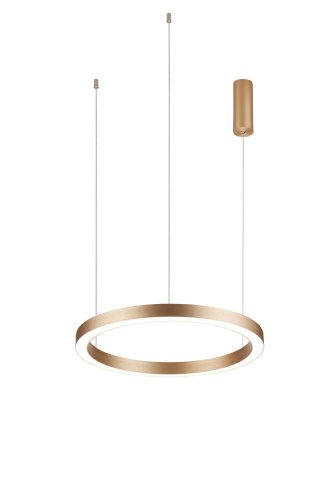 Светильник подвесной LED 0685CLA-100 Milosh Tendence золотой 1 лампа, основание золотое в стиле хай-тек современный кольца
