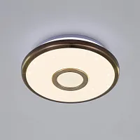 Светильник потолочный LED Старлайт CL70313 Citilux белый 1 лампа, основание бронзовое в стиле модерн 