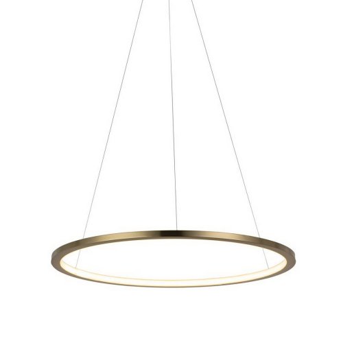 Светильник подвесной LED Ring 10014M LOFT IT купить, отзывы, фото, быстрая доставка по Москве и России. Заказы 24/7 фото 5