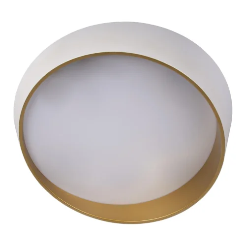 Светильник потолочный LED Coin 10199 White LOFT IT золотой белый 1 лампа, основание белое в стиле современный  фото 3