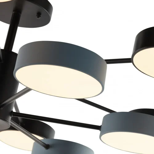 Люстра потолочная LED Ferrara 250906/12B Bk/Gr Arte Milano белая на 1 лампу, основание чёрное в стиле современный фото 7