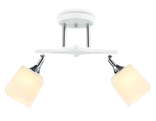 Светильник потолочный TR303062 Ambrella light белый 2 лампы, основание белое в стиле современный 