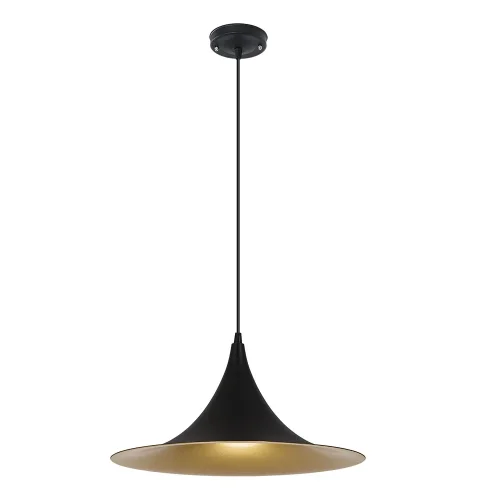 Светильник подвесной Carmel A7080SP-1BK Arte Lamp чёрный на 1 лампу, основание чёрное в стиле лофт современный 