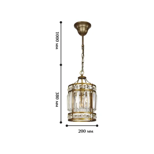 Светильник подвесной Ancient 1085-1P Favourite прозрачный 1 лампа, основание античное бронза в стиле современный  фото 2