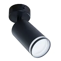 Светильник накладной Imai A2365PL-1BK Arte Lamp чёрный 1 лампа, основание чёрное в стиле современный круглый