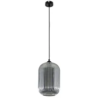 Светильник подвесной Arwen A1903SP-1BK Arte Lamp серый чёрный 1 лампа, основание чёрное в стиле современный выдувное