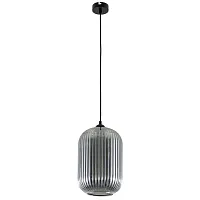 Светильник подвесной Arwen A1903SP-1BK Arte Lamp чёрный серый на 1 лампу, основание чёрное в стиле современный выдувное