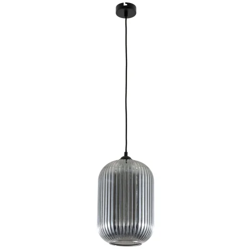Светильник подвесной Arwen A1903SP-1BK Arte Lamp чёрный серый на 1 лампу, основание чёрное в стиле современный выдувное