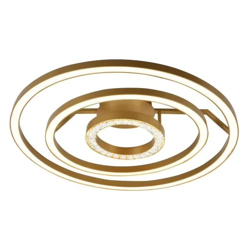 Люстра потолочная LED Sanori 2546-3U Favourite золотая на 1 лампа, основание золотое в стиле современный кольца фото 2