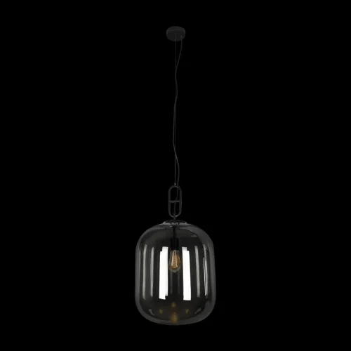 Светильник подвесной Oda 10195/350 Smoke LOFT IT серый чёрный 1 лампа, основание чёрное в стиле современный выдувное фото 4