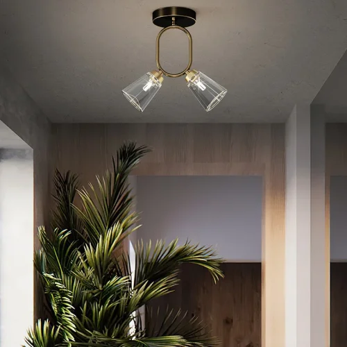 Светильник потолочный ADRIELL CH Brass Black 208131-23 ImperiumLoft прозрачный на 2 лампы, основание латунь в стиле современный фото 13