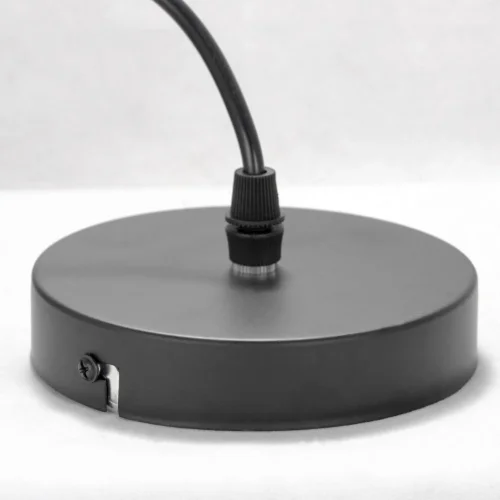 Светильник подвесной лофт Bossier GRLSP-8273 Lussole чёрный 1 лампа, основание чёрное в стиле лофт  фото 7