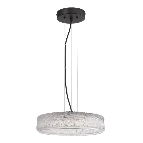 Светильник подвесной LED Antike SL6143.403.01 ST-Luce прозрачный на 1 лампу, основание чёрное в стиле современный 