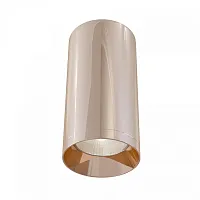 Светильник накладной Alfa C010CL-01RG Maytoni розовый золотой 1 лампа, основание золотое розовое в стиле современный круглый