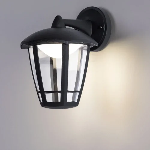 Настенный светильник LED Enif A6064AL-1BK Arte Lamp уличный IP44 чёрный 1 лампа, плафон прозрачный в стиле современный LED фото 3