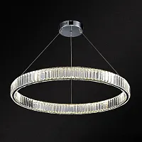 Люстра подвесная BERTOLDA D80 Chrome 219792-23 ImperiumLoft прозрачная на 1 лампу, основание хром в стиле современный 
