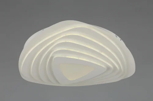 Светильник потолочный LED с пультом Bacoli OML-07507-216 Omnilux белый 1 лампа, основание белое в стиле хай-тек с пультом фото 4