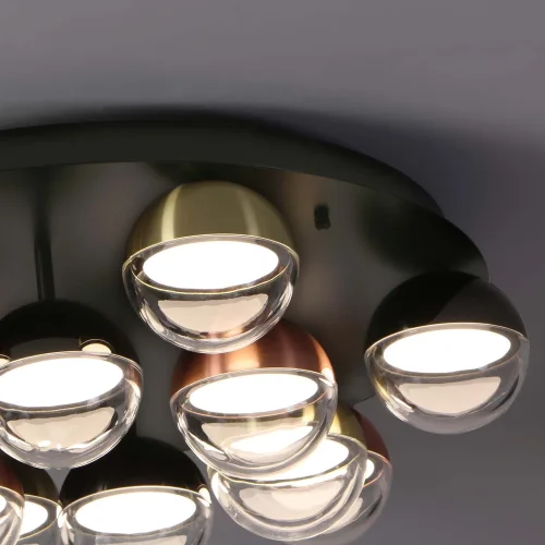 Люстра потолочная LED Luna 4371-12C Favourite прозрачная на 1 лампу, основание чёрное в стиле современный фото 4