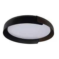 Светильник потолочный LED Coin 10198 Black LOFT IT белый чёрный 1 лампа, основание чёрное в стиле современный 