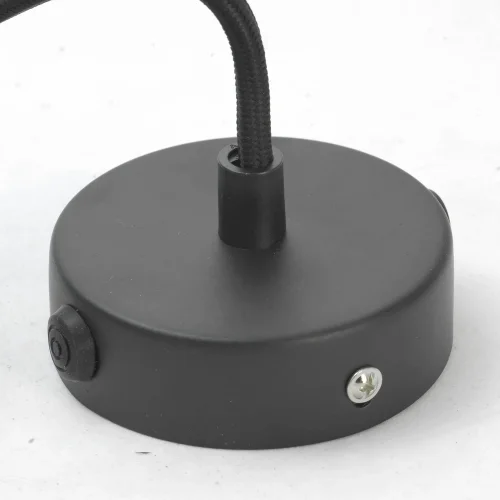 Светильник подвесной лофт Centereach GRLSP-9888 Lussole без плафона 1 лампа, основание чёрное в стиле лофт  фото 4
