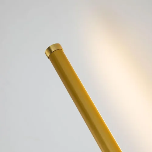 Бра LED Reed 3001-1W Favourite латунь на 1 лампа, основание латунь в стиле современный  фото 3