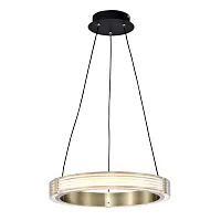 Светильник подвесной LED Rotonda 736241 Lightstar прозрачный 1 лампа, основание чёрное в стиле модерн кольца