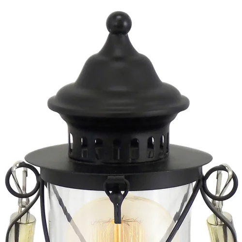 Настольная лампа BRADFORD 49283 Eglo прозрачная чёрная 1 лампа, основание чёрное металл в стиле кантри  фото 4