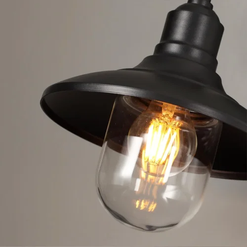 Настенный светильник уличный Campa 4965/1W Odeon Light уличный IP44 чёрный на 1 лампу, плафон прозрачный в стиле классический E27 фото 5