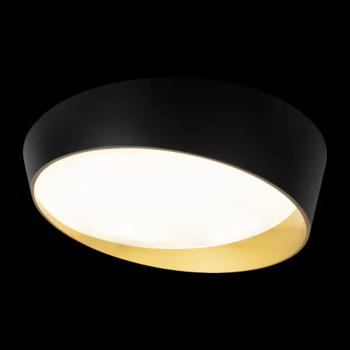 Светильник потолочный LED Coin 10199 Black LOFT IT чёрный белый золотой 1 лампа, основание чёрное в стиле современный  фото 6