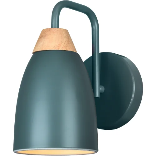 Бра Kerri TL0724W-1N Toplight зелёный на 1 лампу, основание зелёное в стиле лофт современный 
