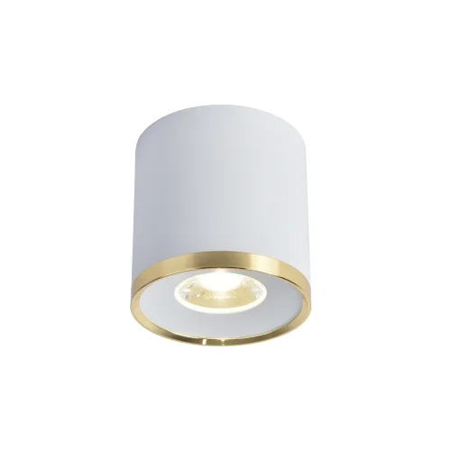 Светильник накладной LED Prakash 3085-2C Favourite белый 1 лампа, основание белое в стиле современный круглый