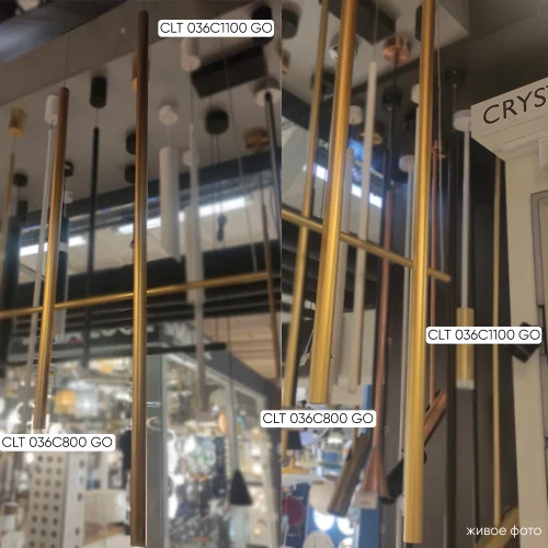 Светильник подвесной LED CLT 036C800 GO Crystal Lux золотой на 1 лампу, основание золотое в стиле современный минимализм трубочки фото 3