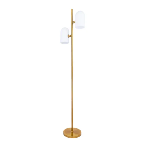 Торшер Cassel A5454PN-2PB Arte Lamp белый на 2 лампы, основание медь в стиле современный 