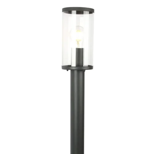 Парковый светильник Lukturis 3038-1T Favourite уличный IP44 чёрный 1 лампа, плафон прозрачный в стиле современный E27 фото 2