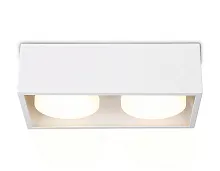 Светильник накладной TN70828 Ambrella light белый 2 лампы, основание белое в стиле современный хай-тек квадратный