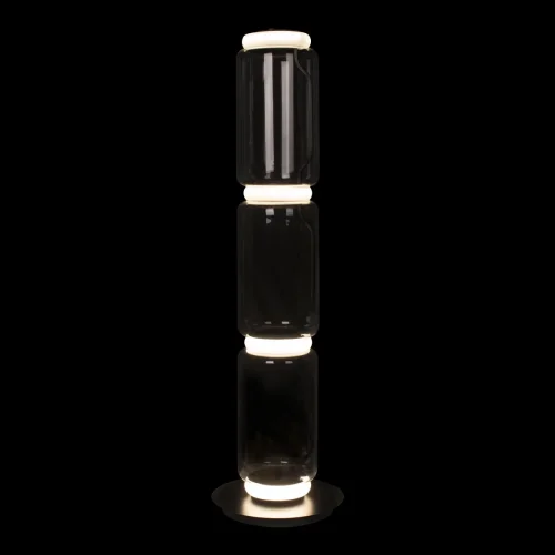 Торшер LED Noctambule 10194F/M LOFT IT  прозрачный 1 лампа, основание чёрное в стиле современный
 фото 2