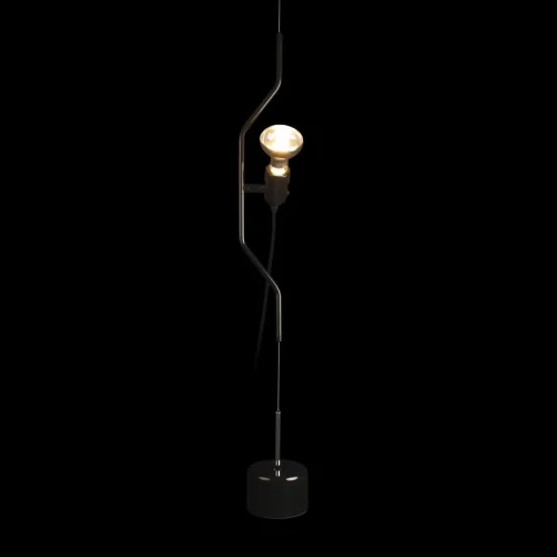 Светильник подвесной Parentesi 10346-1 Black LOFT IT без плафона 1 лампа, основание чёрное в стиле современный на растяжку фото 4