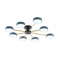 Люстра потолочная LED Ferrara 252006/8 Bk/Gr Arte Milano серая на 1 лампу, основание чёрное в стиле современный 