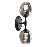 Бра Asolo OML-93911-02 Omnilux серый прозрачный 2 лампы, основание чёрное в стиле лофт 