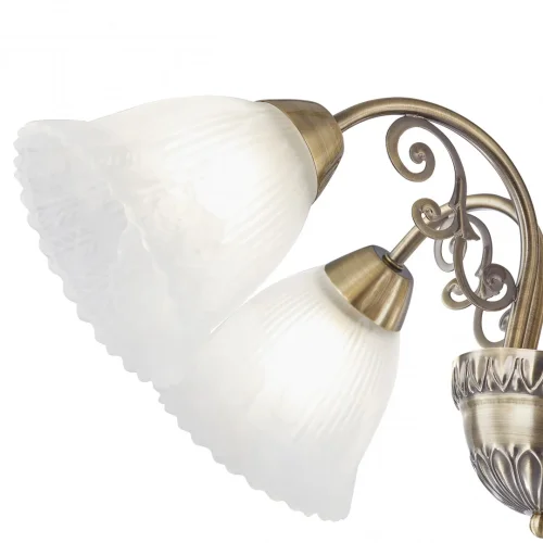 Люстра подвесная Amalfi-8544 338544/5 AB Arte Milano белая на 5 ламп, основание бронзовое в стиле современный фото 7