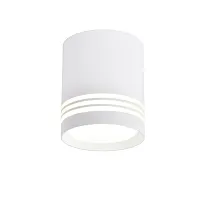 Светильник накладной Darar 3065-1C Favourite белый 1 лампа, основание белое в стиле современный круглый