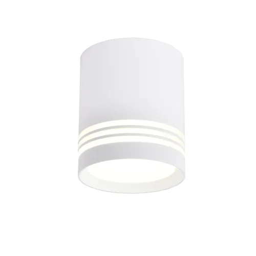 Светильник накладной Darar 3065-1C Favourite белый 1 лампа, основание белое в стиле современный круглый