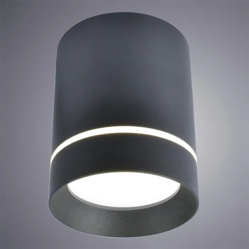 Светильник накладной LED Elle A1909PL-1BK Arte Lamp чёрный 1 лампа, основание чёрное в стиле современный круглый фото 2