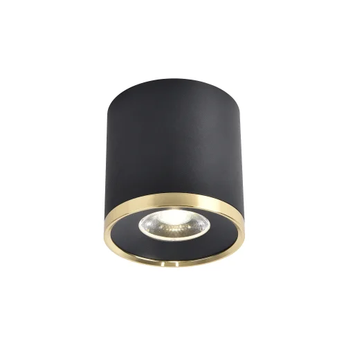 Светильник накладной LED Prakash 3086-2C Favourite чёрный 1 лампа, основание чёрное в стиле современный круглый