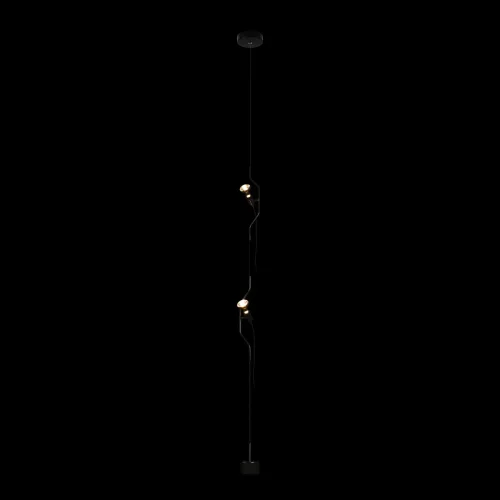 Светильник подвесной Parentesi 10346-2 Black LOFT IT без плафона 2 лампы, основание чёрное в стиле современный на растяжку фото 2