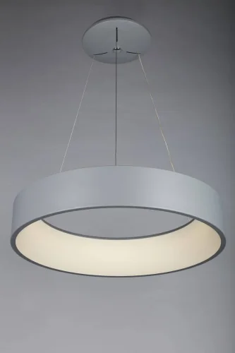 Люстра подвесная LED Enfield OML-45213-42 Omnilux белая на 1 лампа, основание серое в стиле хай-тек кольца фото 2